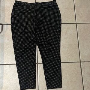 Black Polka Dot Women's Chicos  Pants